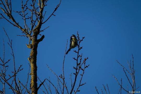 Naturen – billede 2
