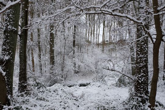 Naturen – billede 3