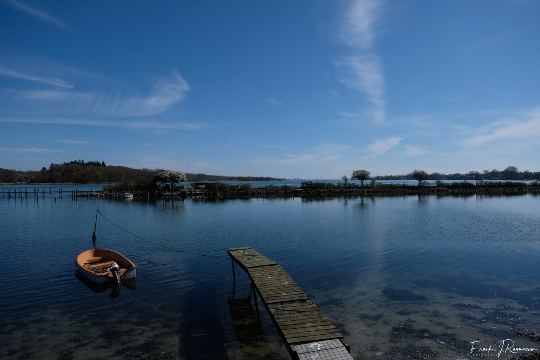 Løvehave Skoven – billede 41